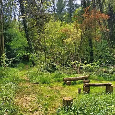 La P'Tite Foret Du Viaduc Lodge Roumazières