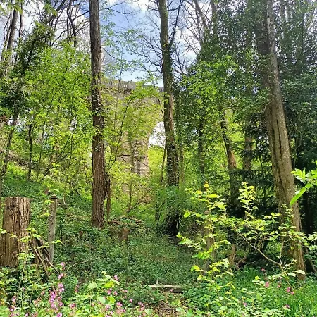 La P'Tite Foret Du Viaduc