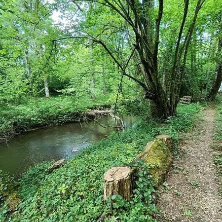 La P'Tite Foret Du Viaduc